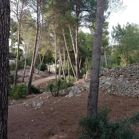 Con Piscina Privada
