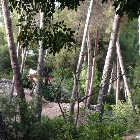 Con Piscina Privada Borriol